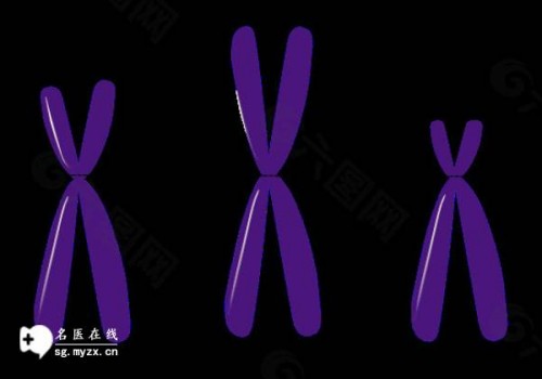 带你了解什么是子宫息肉手术，附手术原理及术后注意事项介绍