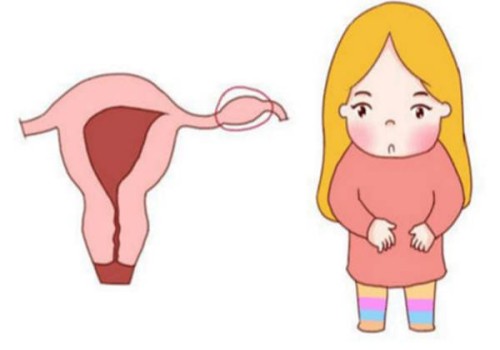 女性宫寒影响怀孕吗,宫寒会有什么影响