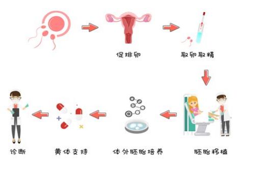 孕妇吃安宝对胎儿有影响吗,宝妈一定要注意服用